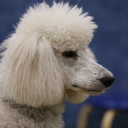 photograph by PeterW